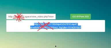 91真实视频国产