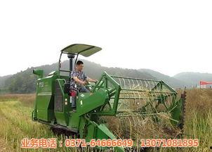 国产杂牌水稻收割机视频,高效便捷的田间利器