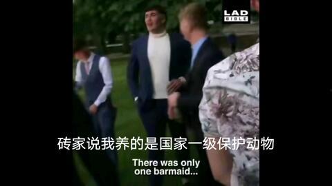 养国产蛇的视频,从视频看生态养殖新篇章